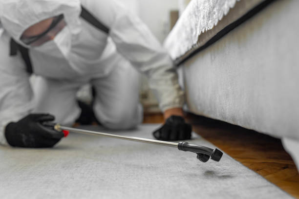 Professional Bed Bug Control technician working in Parkesburg, PA