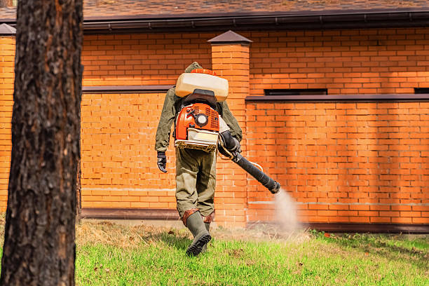 Trusted Rodent Control service in Parkesburg, PA - Nex Pest Control